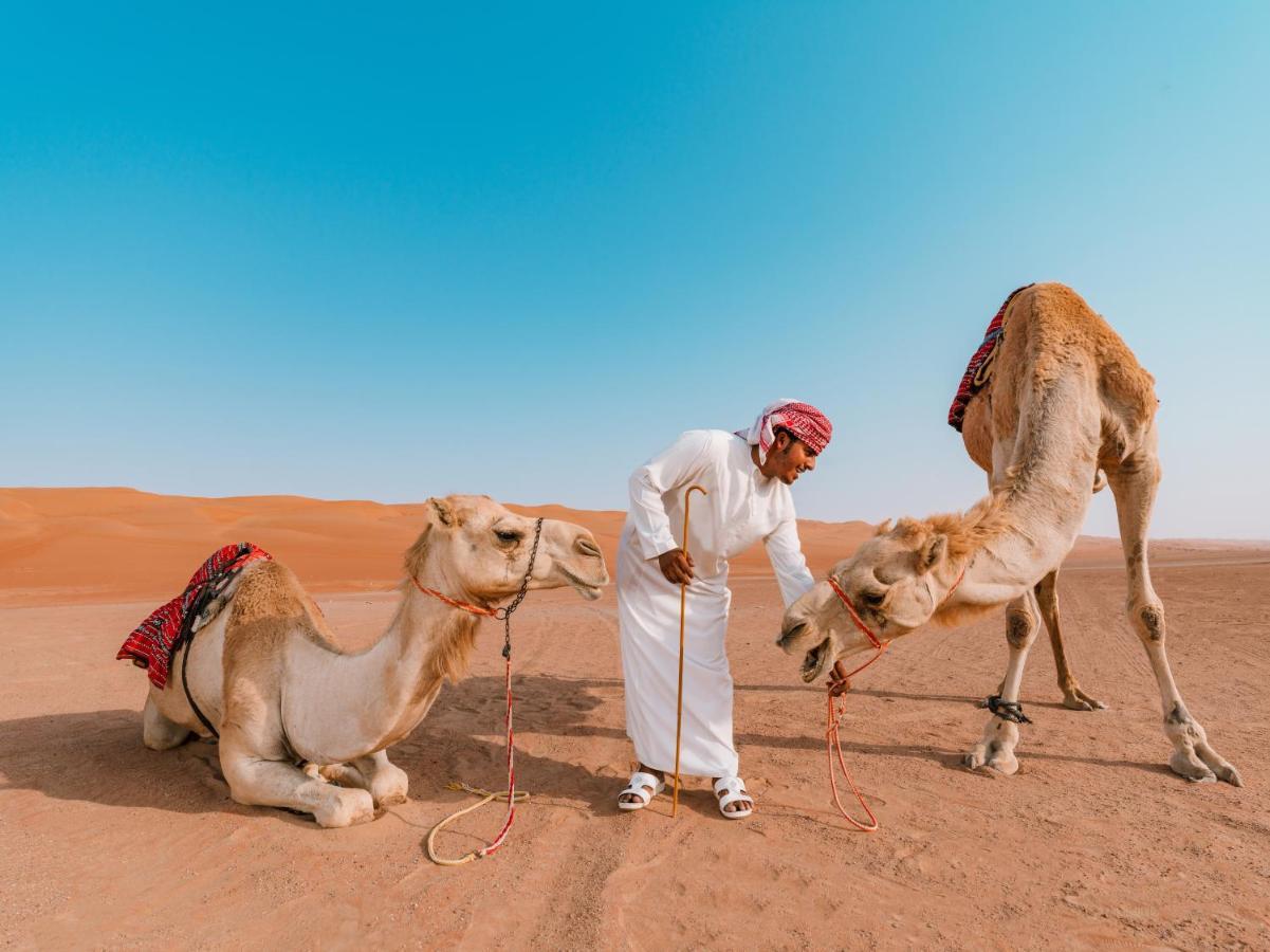 Desert Nights Al Wasil